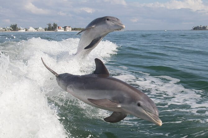 Jet Ski Rental from Fort Myers Beach to Sanibel - Summing It All Up