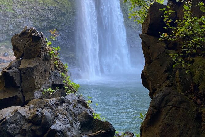 Kauai East Side and North Shore Private Guided Tour - Who Will Love This Tour?