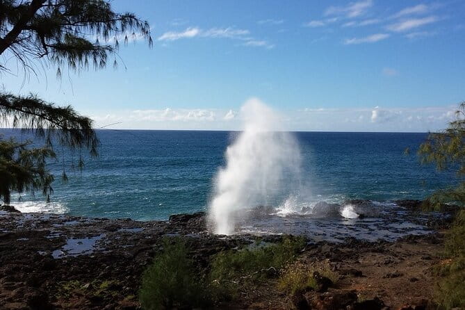 Kauai Shore Excursion - Waimea Canyon Adventure Tour - Nawiliwili - What’s Included and What’s Not