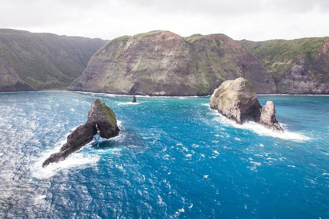 Kawaihae Whale Watch - Price and Value: Is It Worth It?