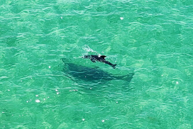 Kayaking Clear through Clearwater - Authentic Experiences and Guest Feedback