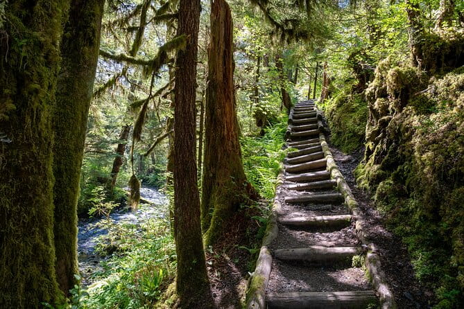 Ketchikan Magical Old-Growth Creek Trek Guided Tour - The Sum Up
