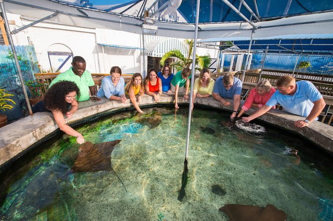 Key West Aquarium Admission - Practical Tips for Your Visit