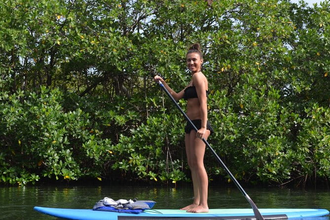 Key West Stand Up Paddleboard Rental - Who Will Love This Experience?