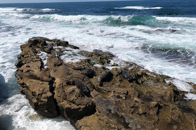 La Jolla Segway Tour - Analyzing the Cost and Value