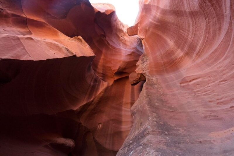 LA: Vegas, Grand Canyon, Antelope and Bryce, Zion 4-Day Tour - Who Will Love This Tour