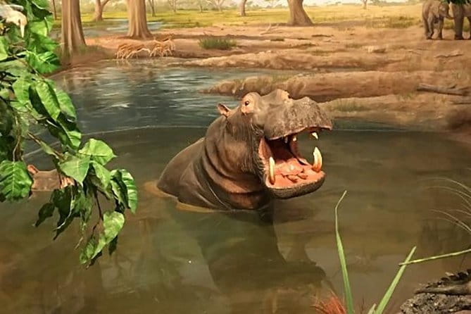 Las Vegas Natural History Museum Admission Ticket - The Experience: What You Can Expect