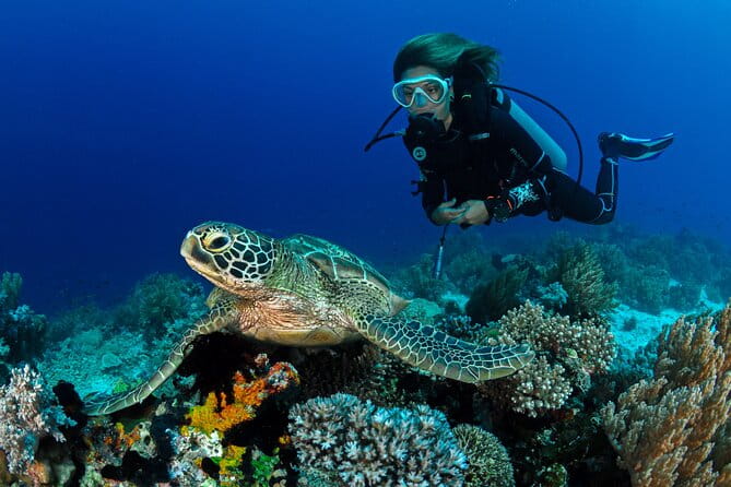 Learn to Scuba Dive with a Professional Instructor in Key Largo - All Inclusive - FAQ