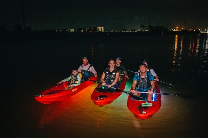 LED Bio Comb Jelly Clear Bottom Kayak or Paddleboard Tour! - A Few Things to Keep in Mind