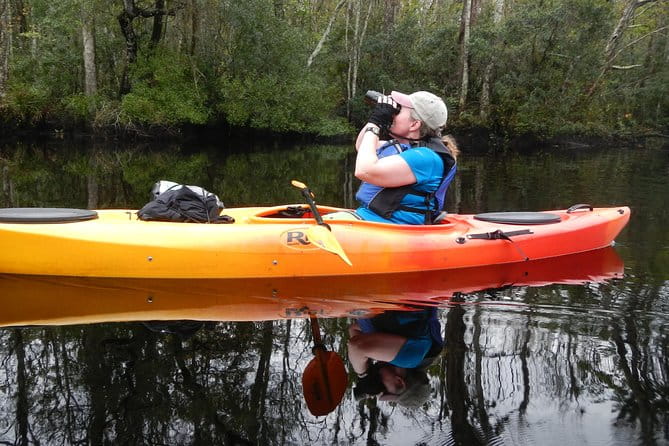 Lofton Creek Kayaking Trip with Professional Guide - Practical Details and Tips for Your Trip