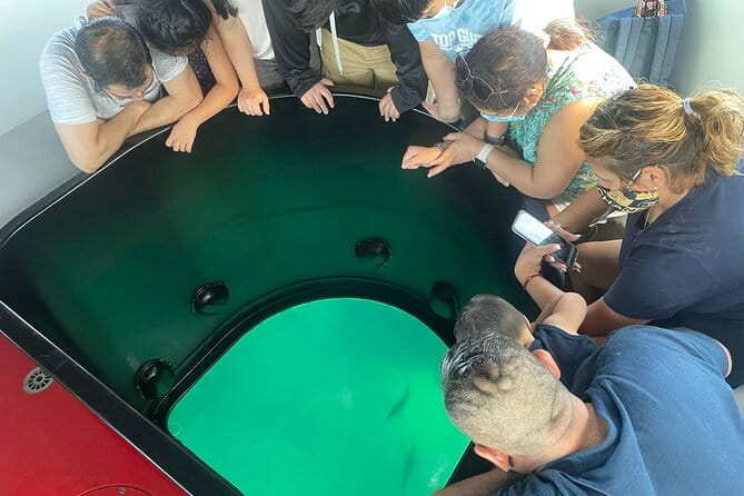 Long Beach Glass Bottom Boat Eco-Tour - Final Thoughts