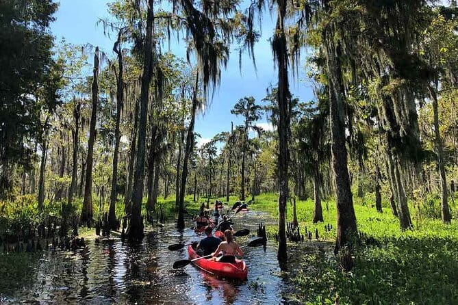 Manchac Swamp EXTENDED Kayak Tour with Pickup - Who Will Love This Tour?