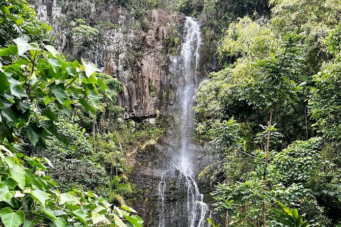 Maui Road to Hana VIP Private Tour in Convertible Bronco - Detailed Breakdown of the Itinerary