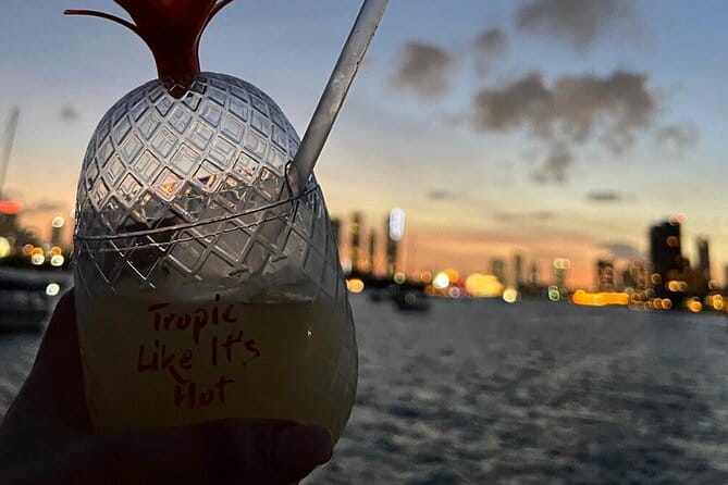 Miami and Bayside 90 min Cruise of Celebrity Islands - Who Will Love This Tour?