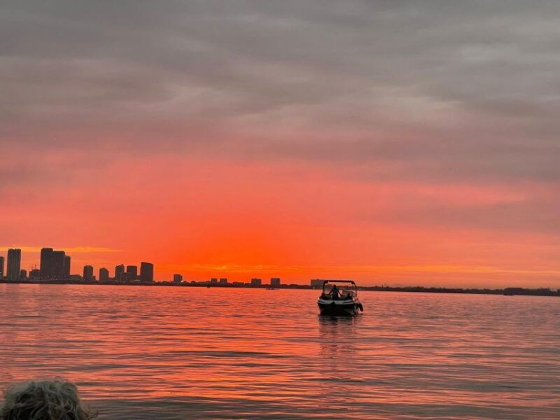 Miami Beach: Spectacular Sandbar & Skyline Boat Tour - Authentic Guest Experiences
