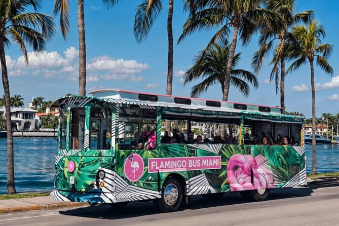 Miami Bus Tour - Flamingo Bus Miami Tours Open-Air Trolley - Who Is This Tour Best For?