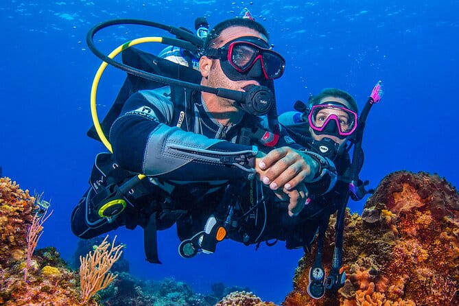Miami Two Tank Dive Trip - Final Thoughts: Is This Dive Trip Worth It?