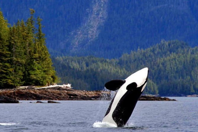 Misty Fjords Expedition - 6 Passenger Boat - The value of a private, customizable experience