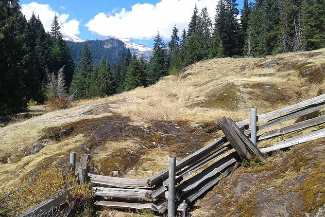 Mount Rainier Tour from Seattle - The Value of the Price