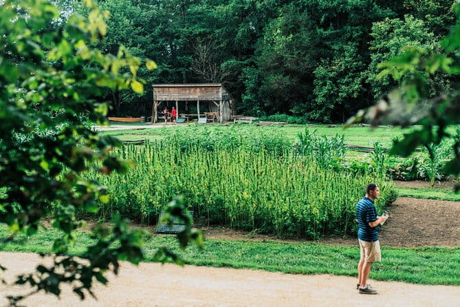 Mount Vernon and Old Town Alexandria Day Trip from Washington DC - FAQs