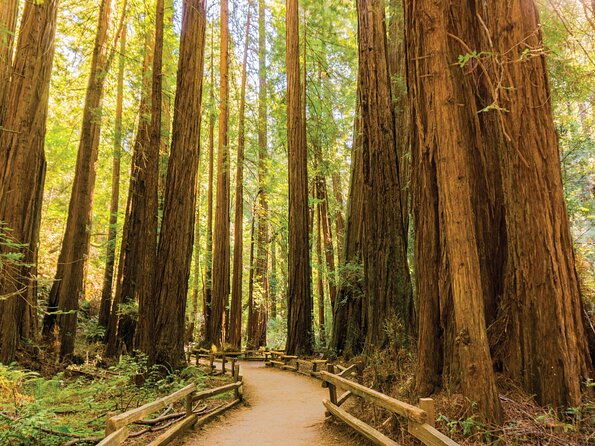Muir Woods & Sausalito Tour - Practical Details to Consider