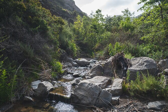 Nature Adventure with Private Transport to Waterfall and more! - Final Thoughts: Who Is This Tour Perfect For?