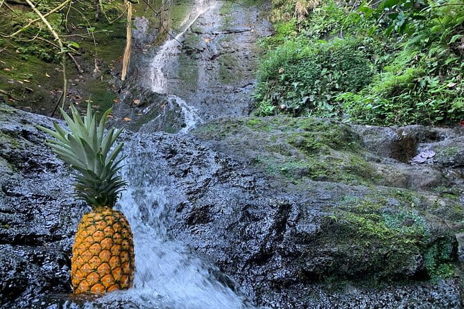 Nature Hike to Waterfall - Who Will Love This Tour?