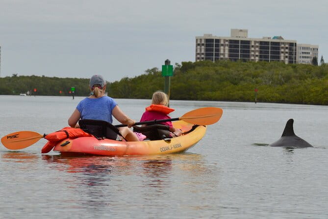 Nauti Exposures - Kayak rental Naples, FL - Practical Details & Booking Tips