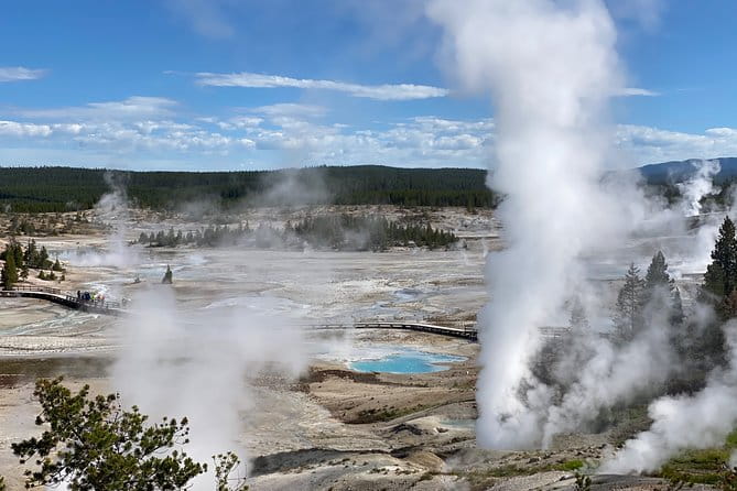 North Yellowstone Day Tour (Lamar Valley) Private Day Tour - The Guide and Experience