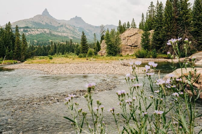 Northern Yellowstone Safari from Cody, WY - FAQ