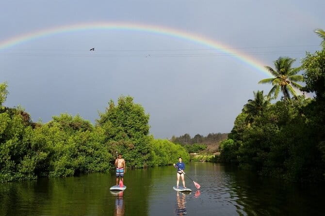 Northshore ocean adventure and circle islandJeep Tour- Guaranteed to see turtles - Final thoughts on value and suitability