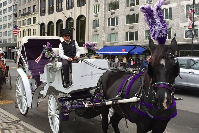 NYC Central Park Horse and Carriage Ride: Long Ride 45 min - What to Expect and What Not to Expect