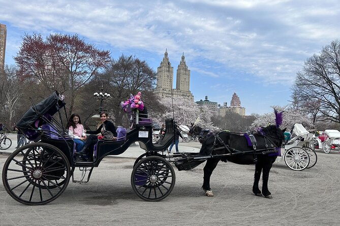 NYC Empire State Horses Carriage Ride in Central Park (45 Mins) - Who Will Enjoy This Tour?