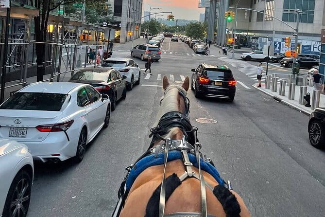 NYC Horse and Carriage Central Park Tours - The Value of a Horse and Carriage Ride
