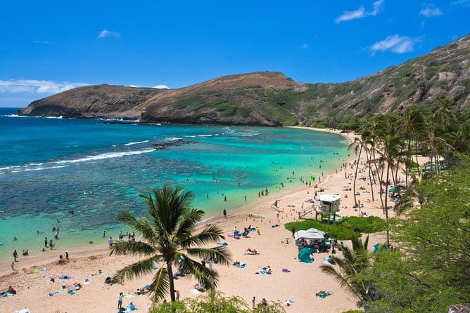 Oahu Island Full-Day Sightseeing Tour - Who Will Love This Tour?