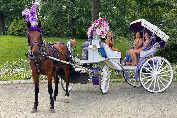 OFFICIAL NYC Central Park Horse Carriage Rides - The Sum Up