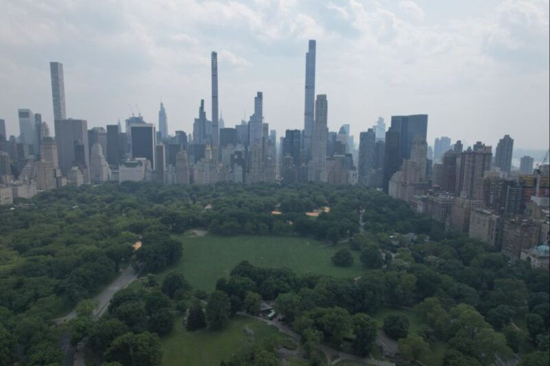 Official VIP Whole Central Park Horse Carriage Tour - Practicalities and What to Expect