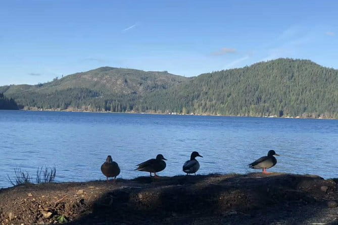 Olympic National Park Full-Day Tour W/ Scenic State Ferries - FAQ: Your Practical Questions Answered