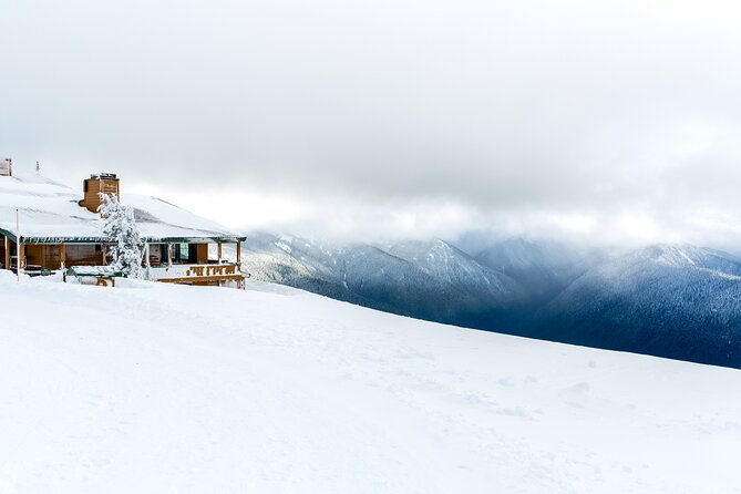 Olympic National Park Self-Guided Driving Audio Tour - Who Will Love This Tour?
