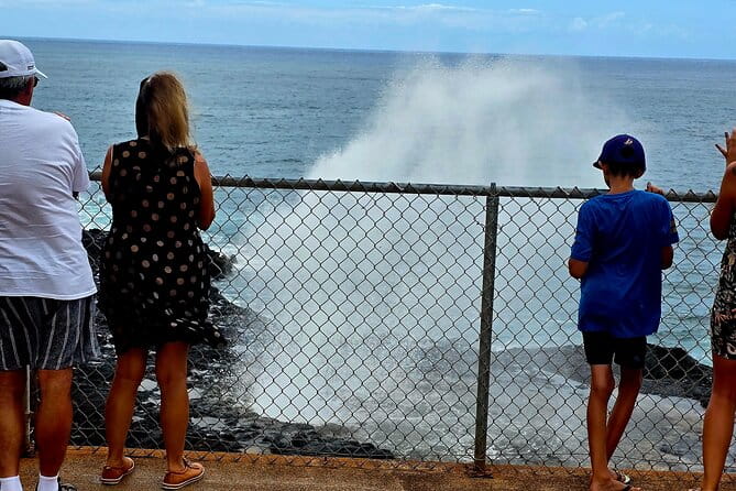 Opaeka'a falls, Spouting Horn, Poipu Beach - Final Thoughts: Who Will Love This Tour?