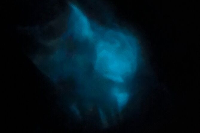 Orlando Bioluminescence Kayak Adventure - Practical Tips for Booking and Enjoyment