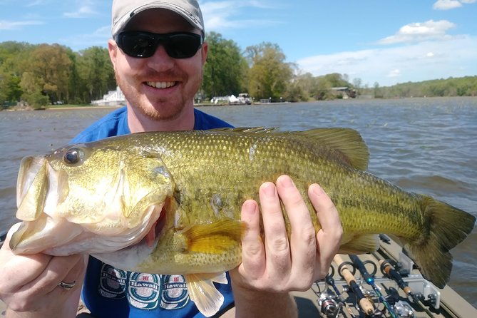 Osprey Fishing Charters: Potomac River Fishing - The Price & Value Proposition