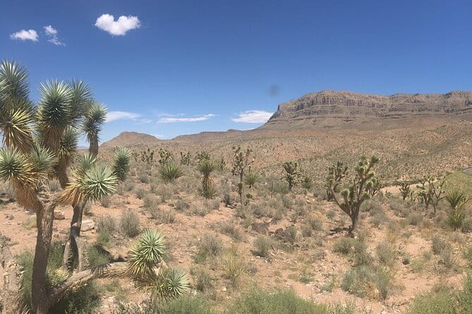 Overnight Grand Canyon West Rim Helicopter Tour from Las Vegas - Practical Details and Considerations