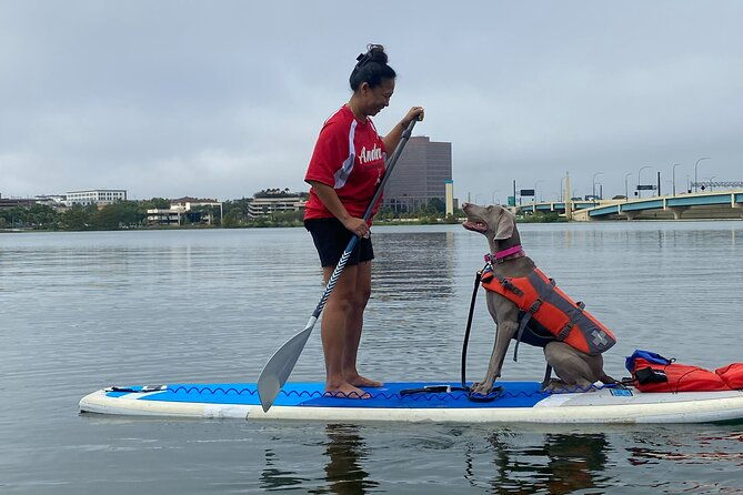Paddle with Pups in Paradise - Paddleboard or Kayak - Practical Details