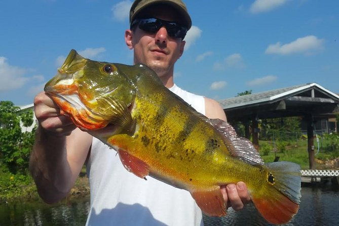 Peacock Bass Fishing Trip in Boynton Beach - Final Thoughts: Is It Worth It?