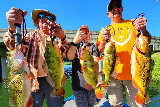 Peacock Bass Fishing Trips near Boca Raton - The Pros and Cons