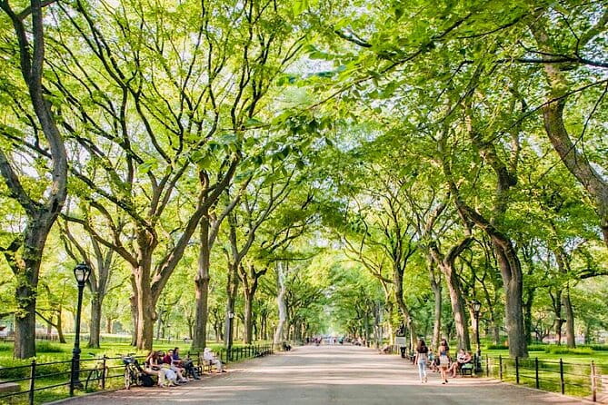 Pedicab Tours Central Park - What to Expect During the Ride