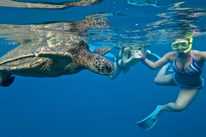 Private Beginner Paddleboard Lesson with Snorkel in Turtle Town - The Itinerary in Detail: What You Will Experience