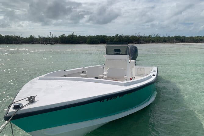 Private Boat Tour to Sand Bar Snorkel Dolphins and Sunset - Comfort and Convenience