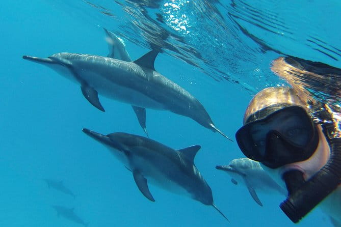 Private Charter: Customizable Big Island Boat Adventure - Frequently Asked Questions